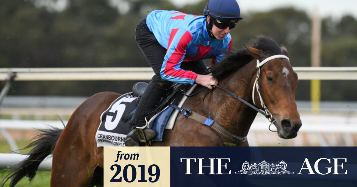 Cox Plate 2019 Humidor 'clearly produces his best in The Valley weightforage classic says co